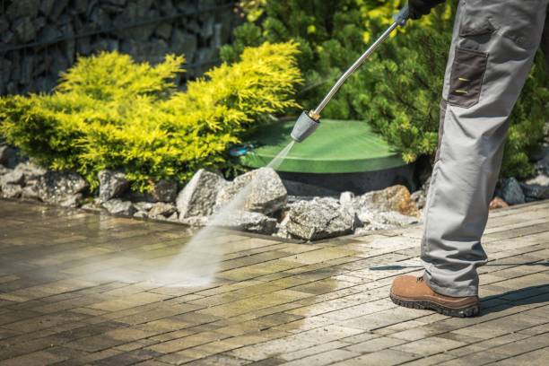 Best Solar Panel Cleaning  in Monroe, WI