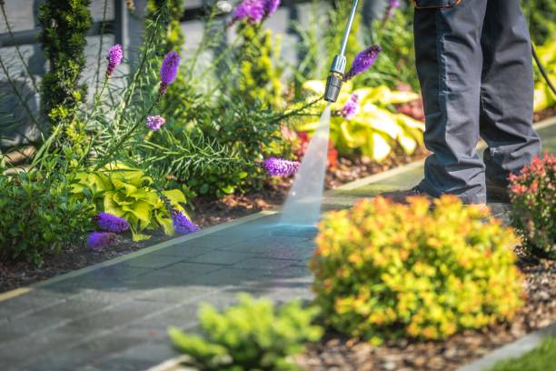 Best Animal Enclosure Cleaning  in Monroe, WI