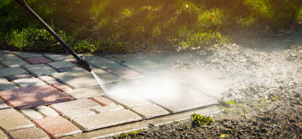 Best Sidewalk and Walkway Cleaning  in Monroe, WI
